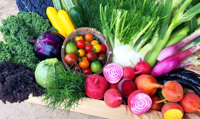 520236d26a7f2463ead71df4d951516d9c94130d